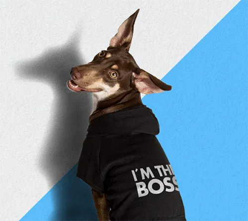 ZeeDog The Boss Hoodie